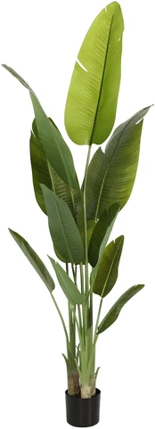 Dirbtinis augalas Madagaskarinė Ravenala, 200 cm