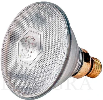 Lemputė Philips 175W balta 22309