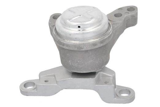 Variklio montavimas TEDGUM TED87085