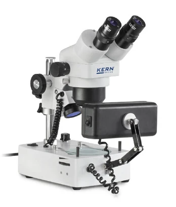 Kern OZG 493