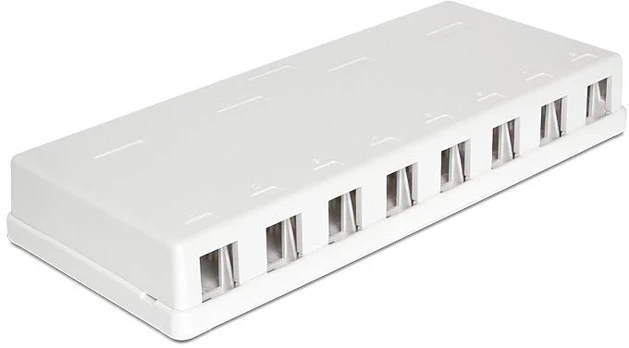 Delock Keystone Balta montavimo korpusas (8 prievadai)