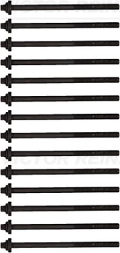 REINZ 14-32311-01 Cylinder head bolt set kaina