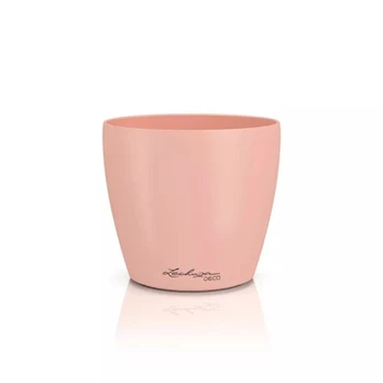 DECO 14, magnolia