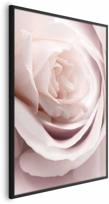 Artgeist Plakatas - Porcelain Rose