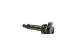 Ritė, uždegimas BOSCH 0986AG0503