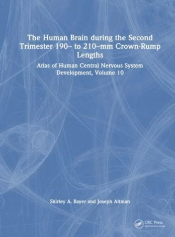 Human Brain during the Second Trimester 190– to 210–mm Crown-Rump Lengths