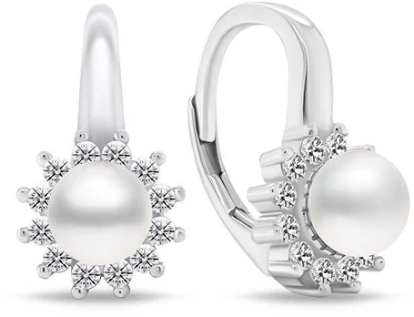 Brilio Silver Elegant sidabrinis earrings with zircons EA788W