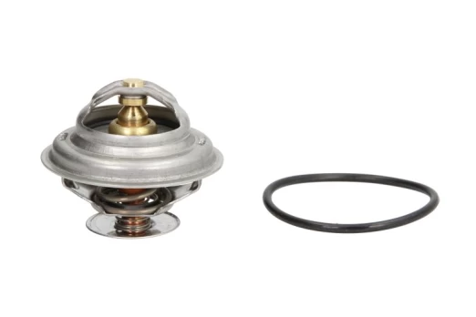 termostatas, aušinimo skystis THERMOTEC D2A003TT