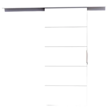 Stumdomosios durys BIELLA 106