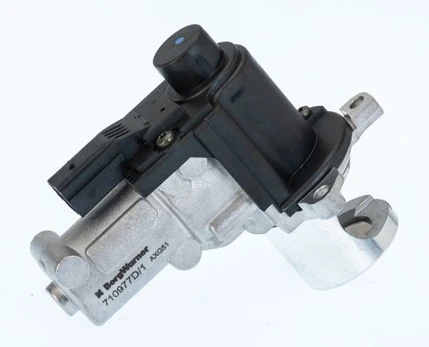 ERG vožtuvas BorgWarner (Wahler) 710977D/1