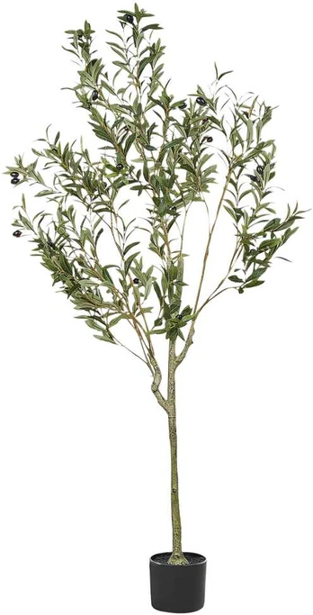 Beliani Sztuczna roślina OLIVE TREE 153 cm