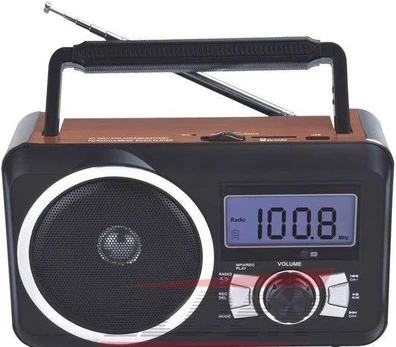 Dartel Radijas Frisky RD-20