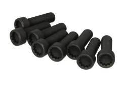 LUK 411 0162 10 Flywheel bolt set kaina