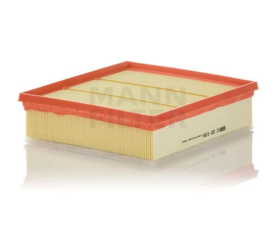 Oro filtras C22039