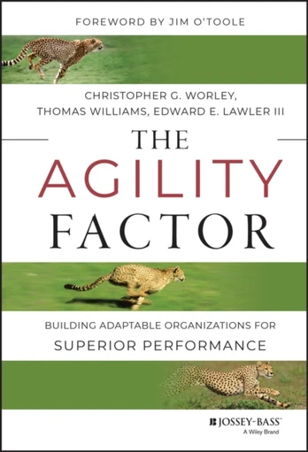 Agility Factor