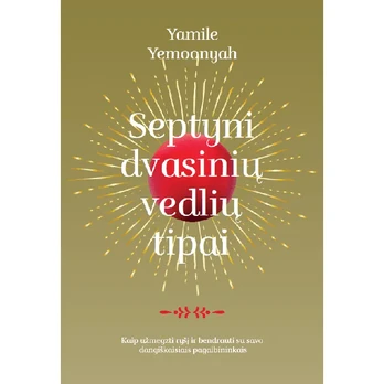 Knyga SEPTYNI DVASINIŲ VEDLIŲ TIPAI