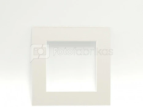 Pasportas 50x50/30x30 pilkas
