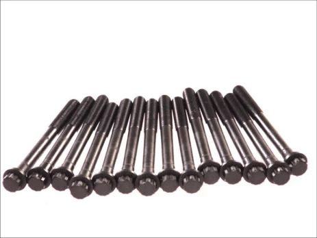 ELRING EL708240 Cylinder head bolt set
