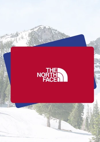 Northface Gift Card 300 AED Key UNITED ARAB EMIRATES