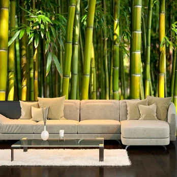Artgeist Fototapetas - Oriental Garden