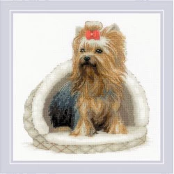 Yorkshire Terrier. Siuvinėjimo rinkinys iš RIOLIS Nr.: 2152