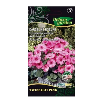 DARŽELINĖ ROŽŪNĖ TWINS HOT PINK