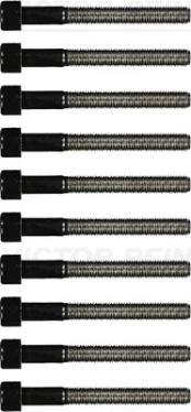 REINZ 14-32045-01 Cylinder head bolt set kaina