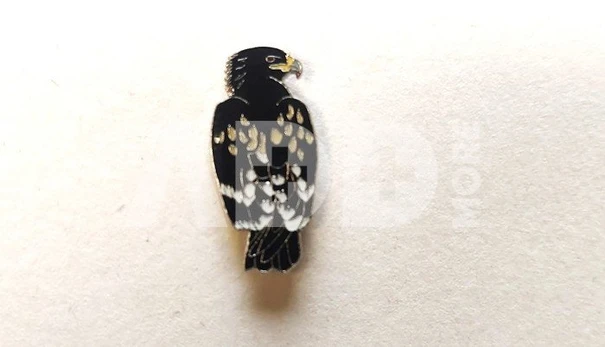 Ženkliukas GREATER SPOTTED EAGLE / Didysis erelis rėksnys