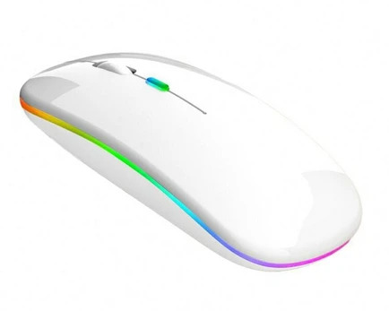 Wireless RGB Mouse 1884191116406