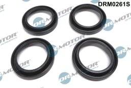 Tarpiklis, purkštuko laikiklis Dr.Motor Automotive DRM0261S kaina