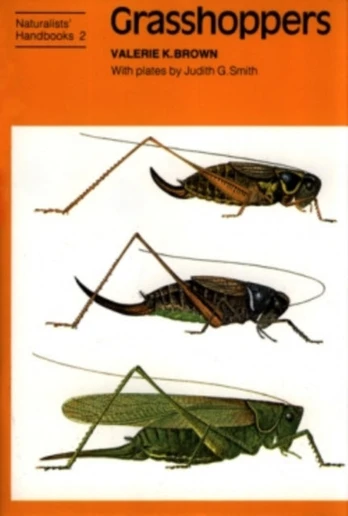 Grasshoppers