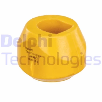 Variklio montavimas DELPHI TEM183