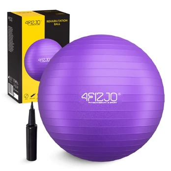 4Fizjo Pripučiamas gimnastikos kamuolys 65 cm violetinis
