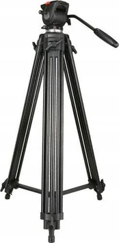 NEST Vaizdo įrašas + Ąžuolo statramstis 180cm