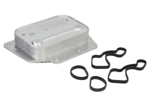 Alyvos radiatorius THERMOTEC D4F010TT