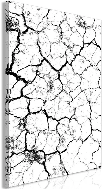 Artgeist Paveikslas - Cracked Earth (1 Part) Vertical