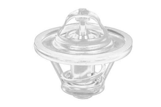 termostatas, aušinimo skystis THERMOTEC D2IV009TT