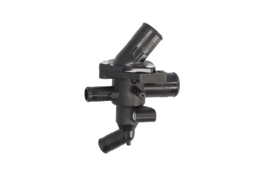 termostatas, aušinimo skystis THERMOTEC D2G011TT