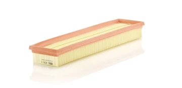 Oro filtras MANN-FILTER C4371/1 kaina
