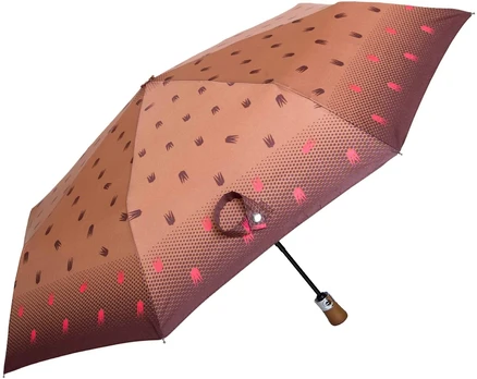 Parasol Moteriškas automatinis skėtis FLORIS-4