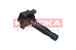 Ritė, uždegimas KAMOKA 7120051 kaina
