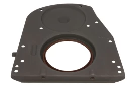 REINZ 81-90026-10 Crankshaft seal kaina
