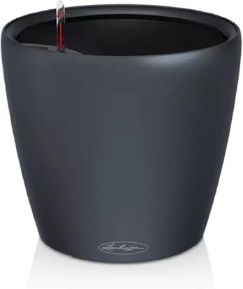 Lechuza CLASSICO Color LS 35 Pilka