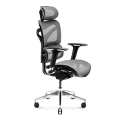 Ergonomic Chair DIABLO V-COMMANDER: black-grey kaina