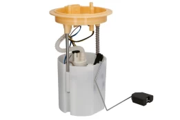 DELPHI FG2406-12B1 Electric fuel pump kaina