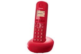 Belaidis telefonas Panasonic KX-TGB210FXR kaina