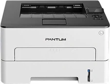 Lazerinis spausdintuvas Pantum P3010DW