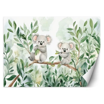 Fototapetai, Meškiukai Koala Eukalipto lapai