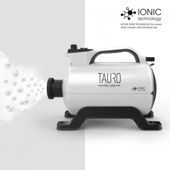IONIC Technology kailio džiovintuvas baltas