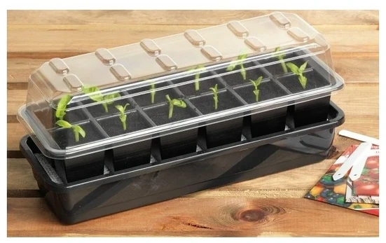 Garland Daiginimo rinkinys su laistymu ir daiginimo tabletėmis (37,5 x 13,5 cm)